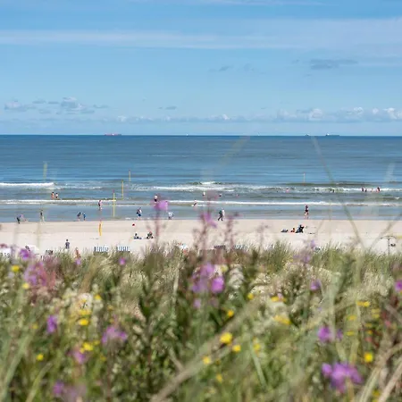 Duenenkieker * シュピーカーオーク