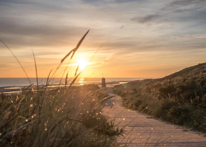 Duenenkieker * Шпикерог