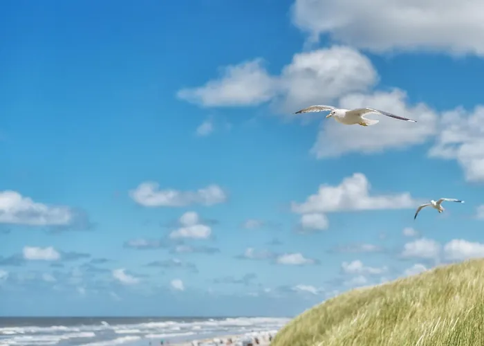 Duenenkieker Дом отдыха